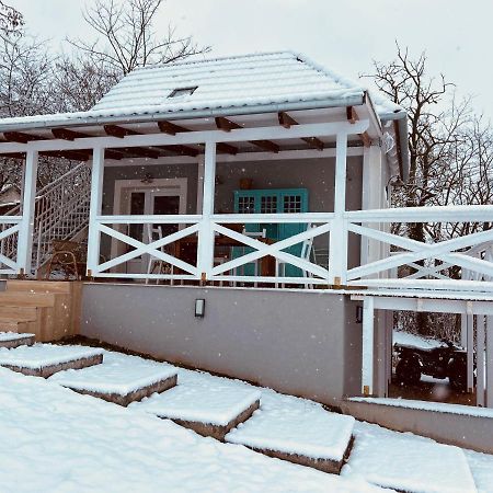 Willa Dandelion "Zsalya" Vendeghaz Kisapati Zewnętrze zdjęcie